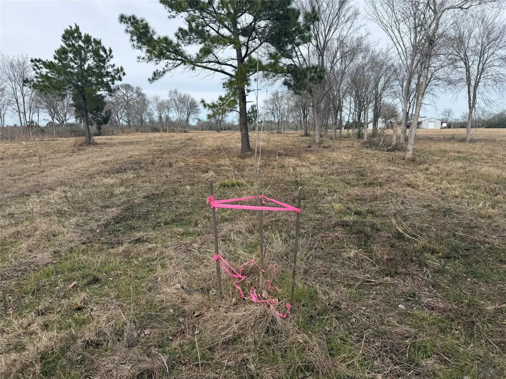 32186 Howell Road Waller, TX 77484