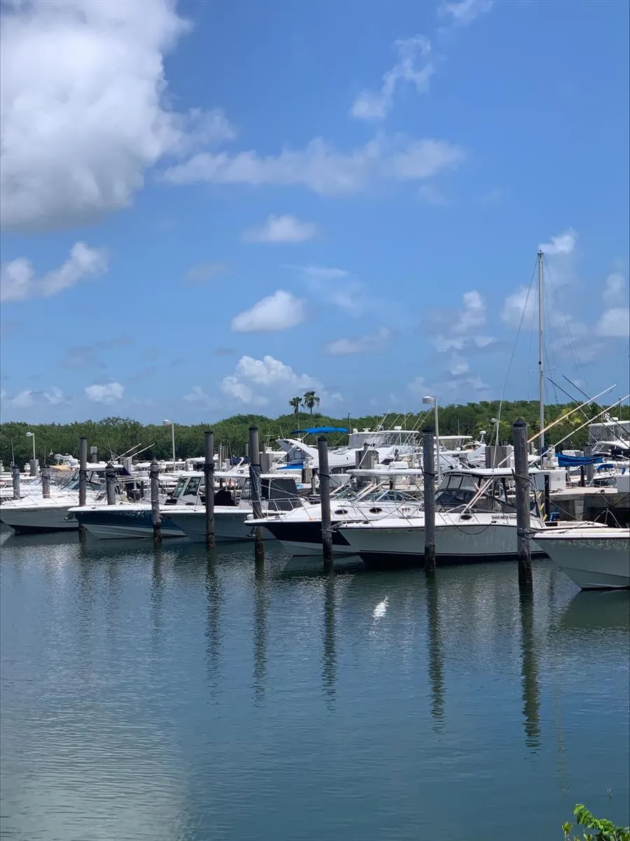 20901 SW 88TH COURT Cutler Bay, FL 33189