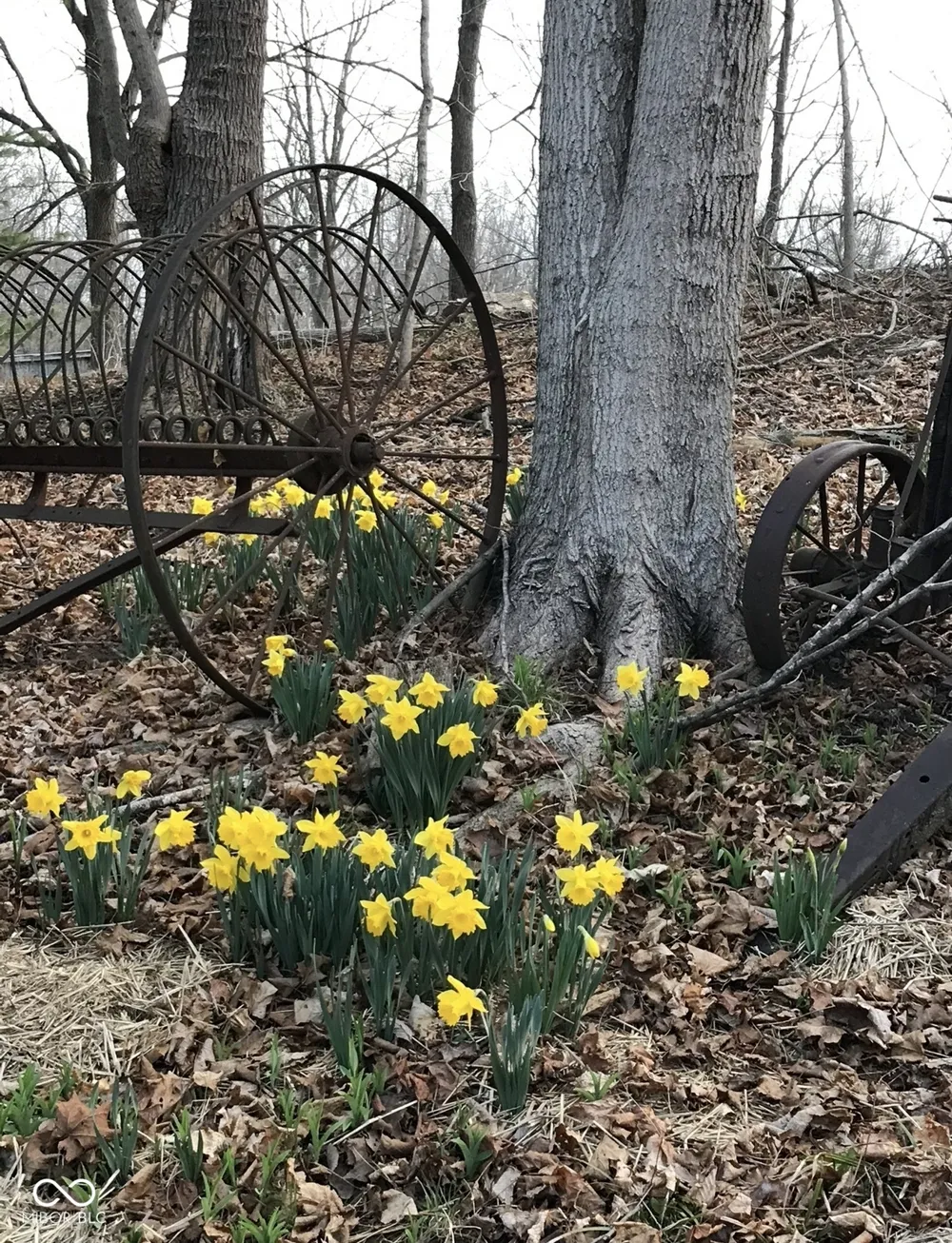 11650 75 W Alexandria, IN 46001