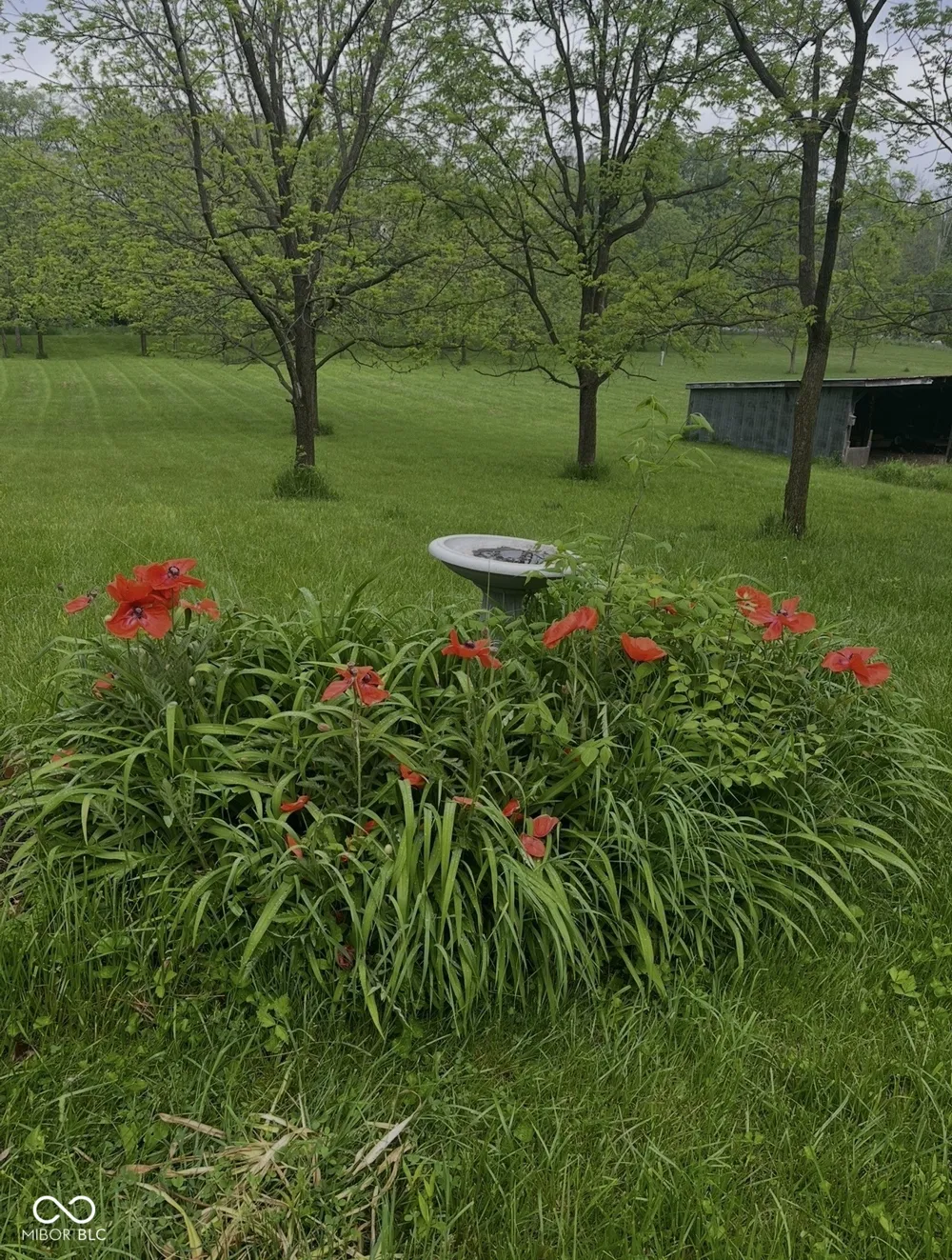 11650 75 W Alexandria, IN 46001