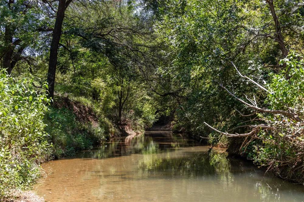 3800 Forest Hill Drive Brownwood, TX 76801