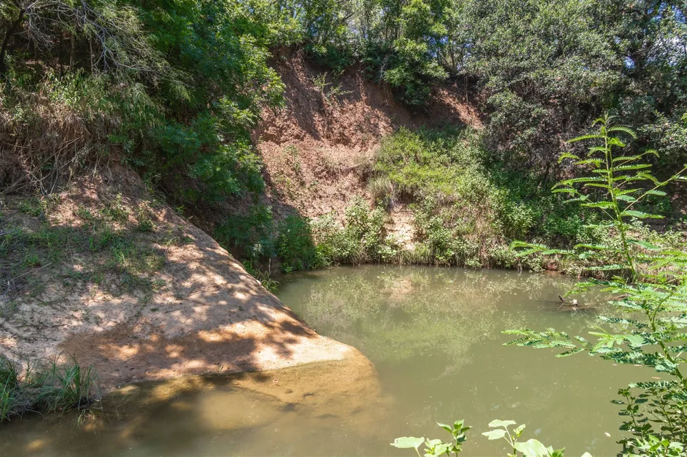3800 Forest Hill Drive Brownwood, TX 76801