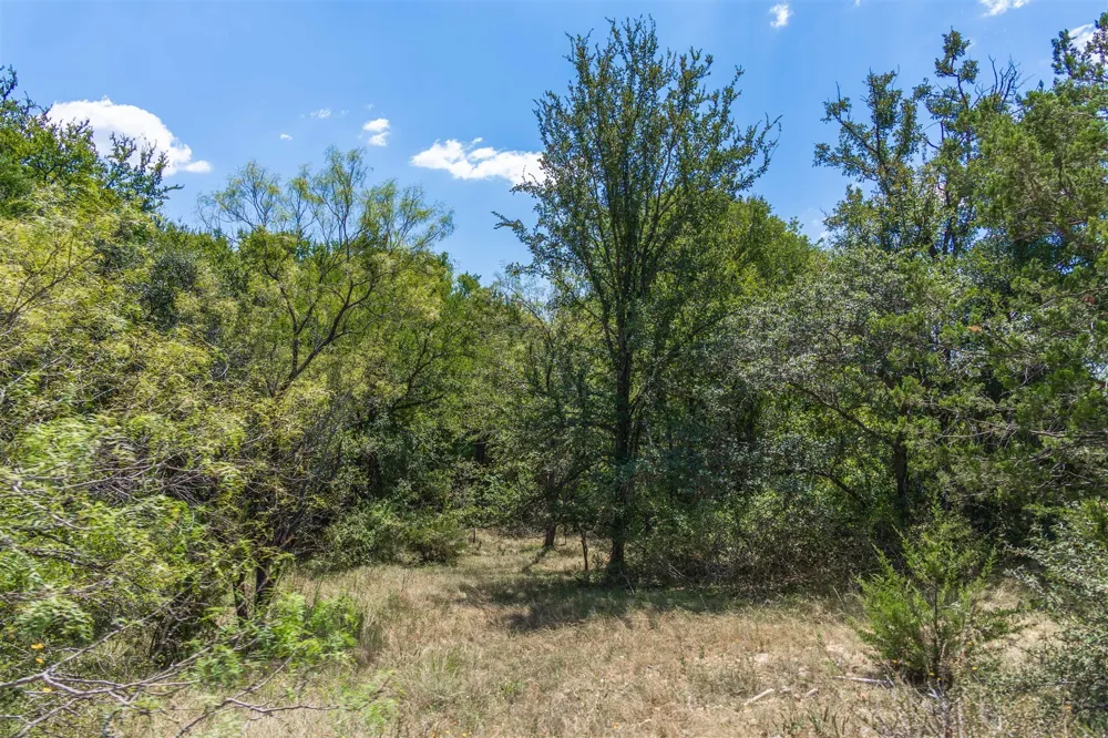 3800 Forest Hill Drive Brownwood, TX 76801
