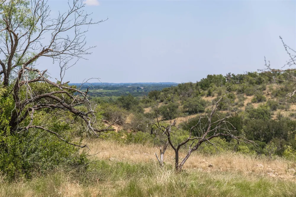 3800 Forest Hill Drive Brownwood, TX 76801