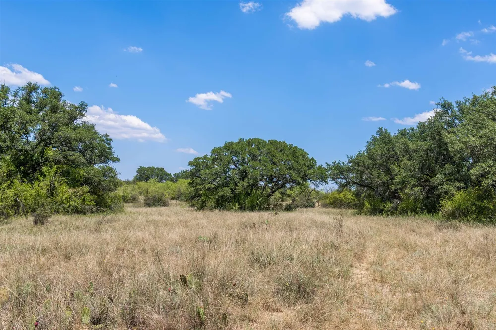 3800 Forest Hill Drive Brownwood, TX 76801
