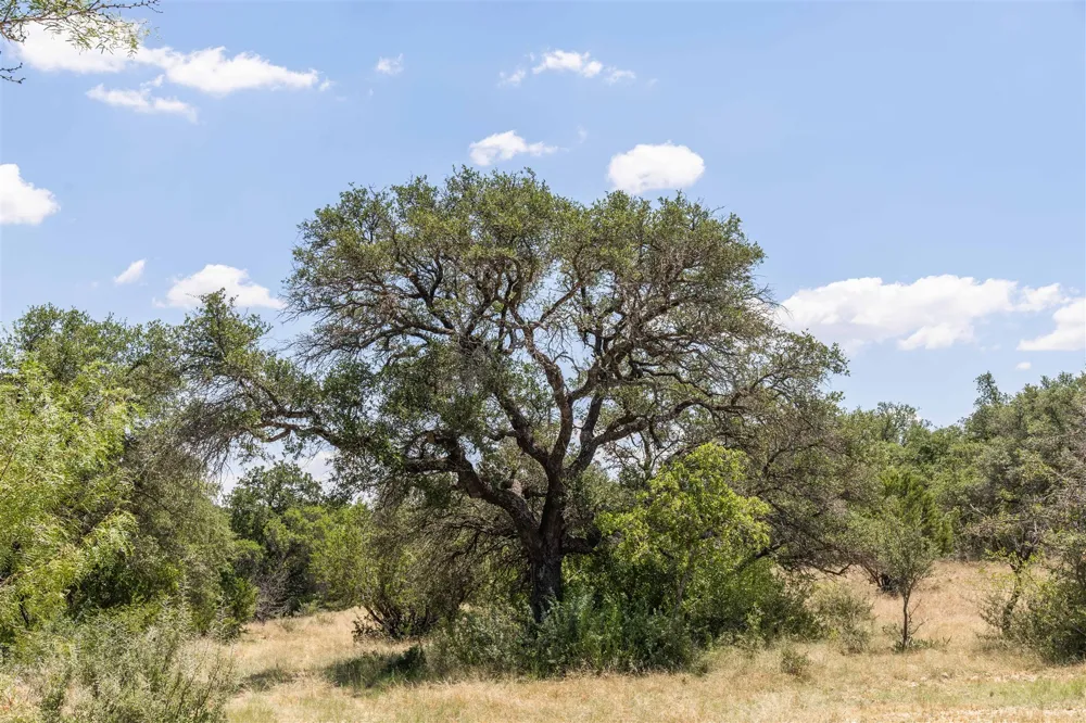 3800 Forest Hill Drive Brownwood, TX 76801
