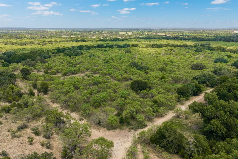 3800 Forest Hill Drive Brownwood, TX 76801
