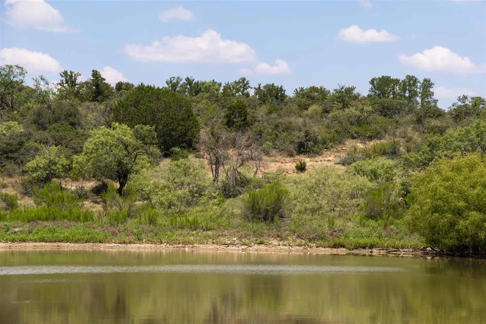 3800 Forest Hill Drive Brownwood, TX 76801