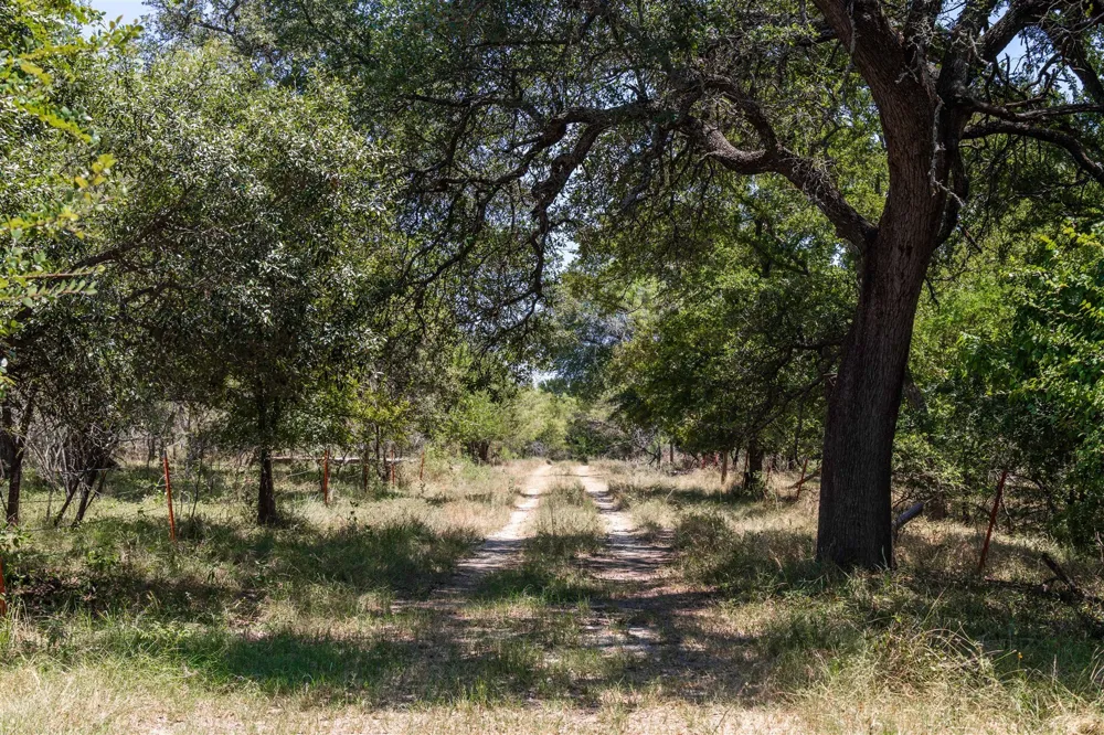 3800 Forest Hill Drive Brownwood, TX 76801