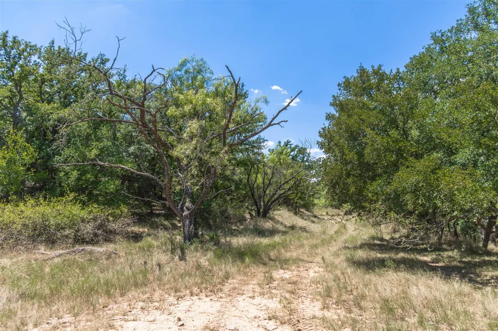3800 Forest Hill Drive Brownwood, TX 76801