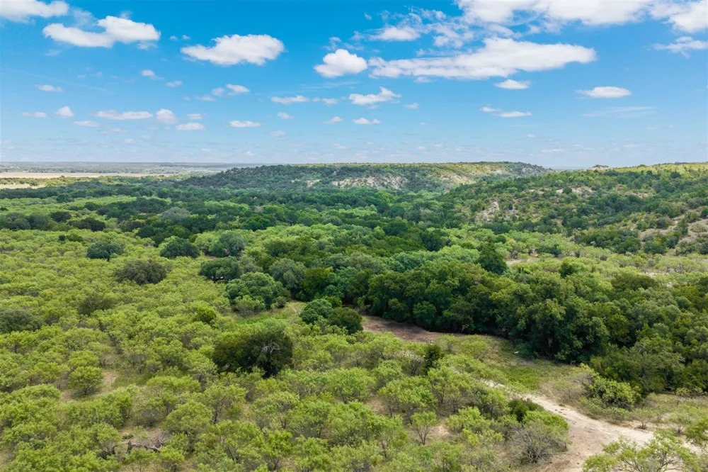 3800 Forest Hill Drive Brownwood, TX 76801