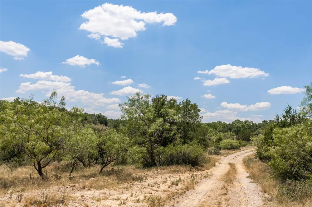 3800 Forest Hill Drive Brownwood, TX 76801