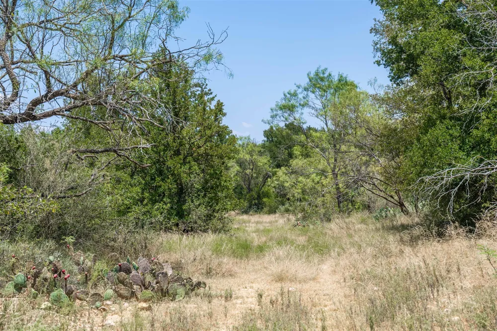 3800 Forest Hill Drive Brownwood, TX 76801