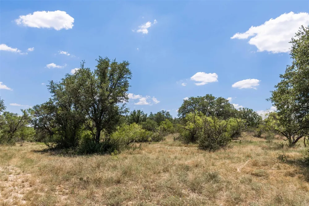 3800 Forest Hill Drive Brownwood, TX 76801