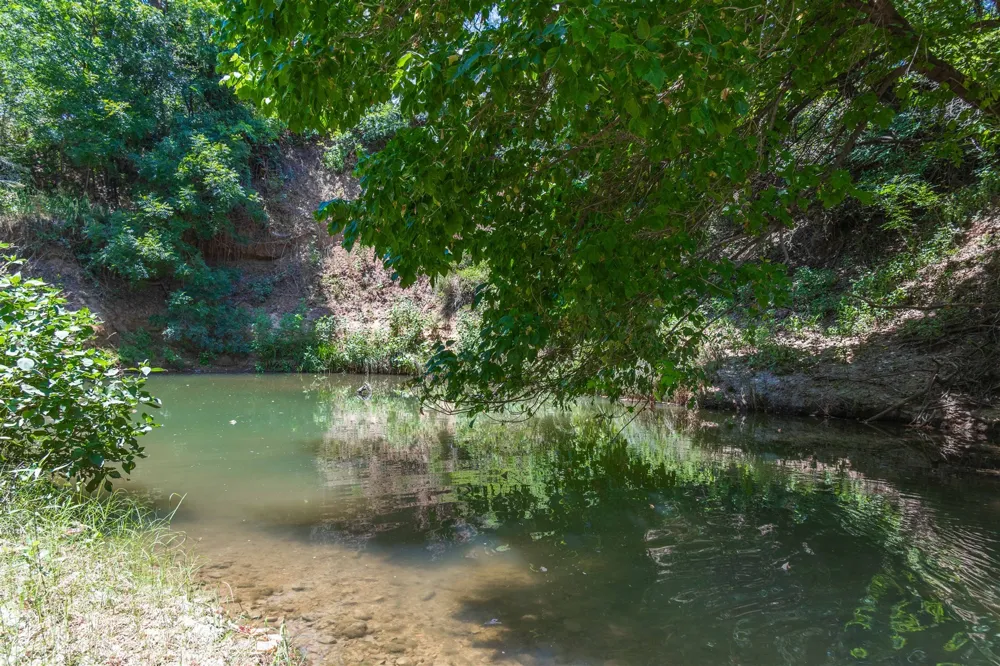 3800 Forest Hill Drive Brownwood, TX 76801