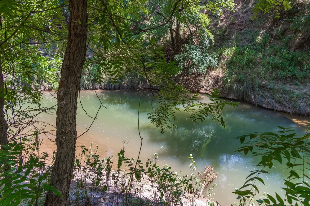 3800 Forest Hill Drive Brownwood, TX 76801