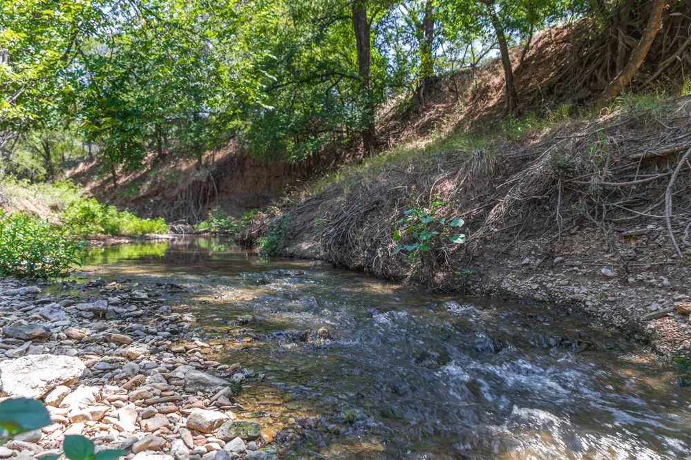 3800 Forest Hill Drive Brownwood, TX 76801