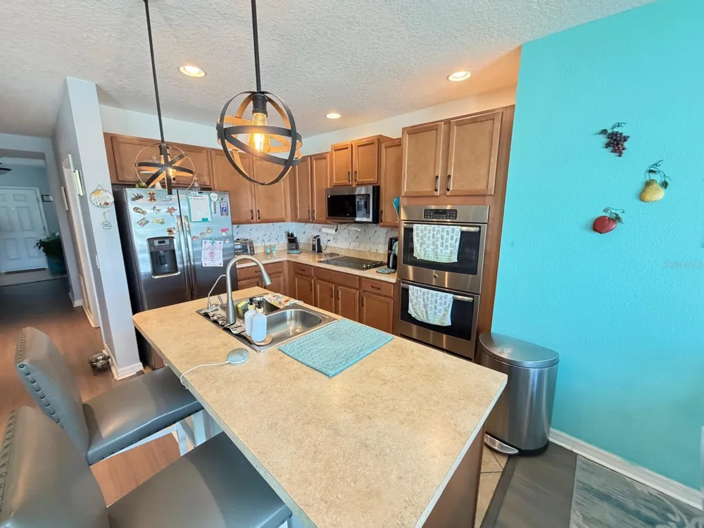 272 SPARROW HAWK DRIVE Groveland, FL 34736