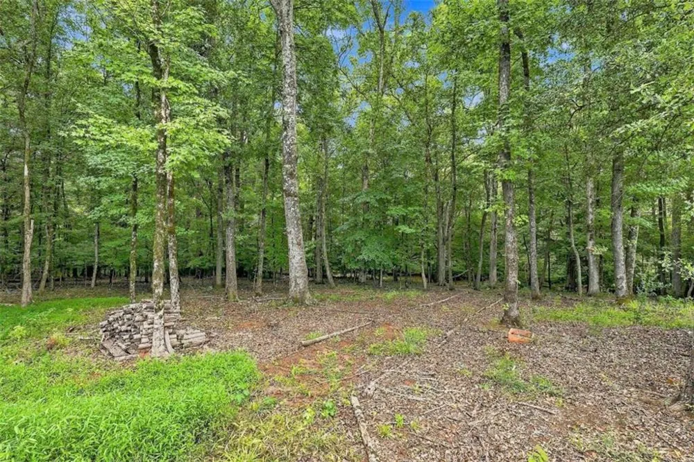 230 Windchime Way Tyrone, GA 30290
