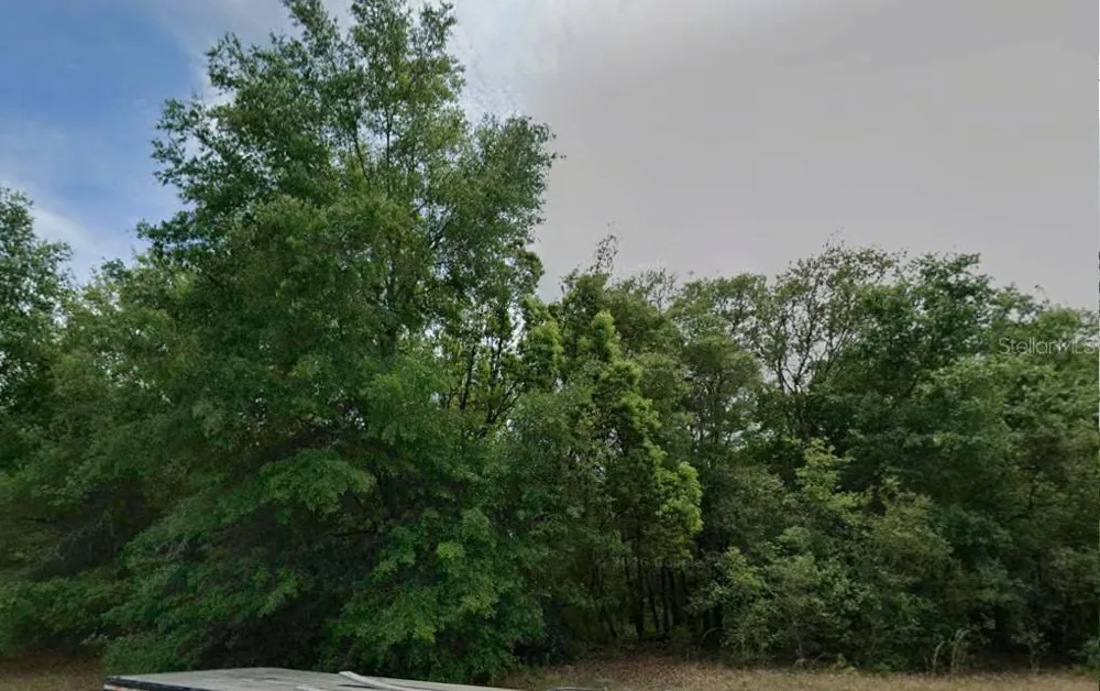 602 W ANDERSON LANE Citrus Springs, FL 34434