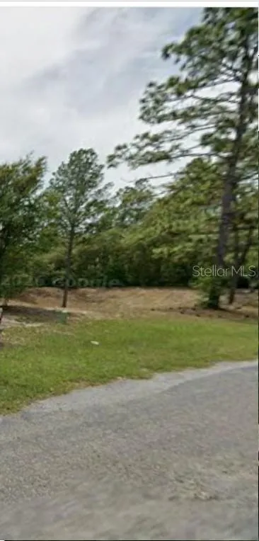 602 W ANDERSON LANE Citrus Springs, FL 34434