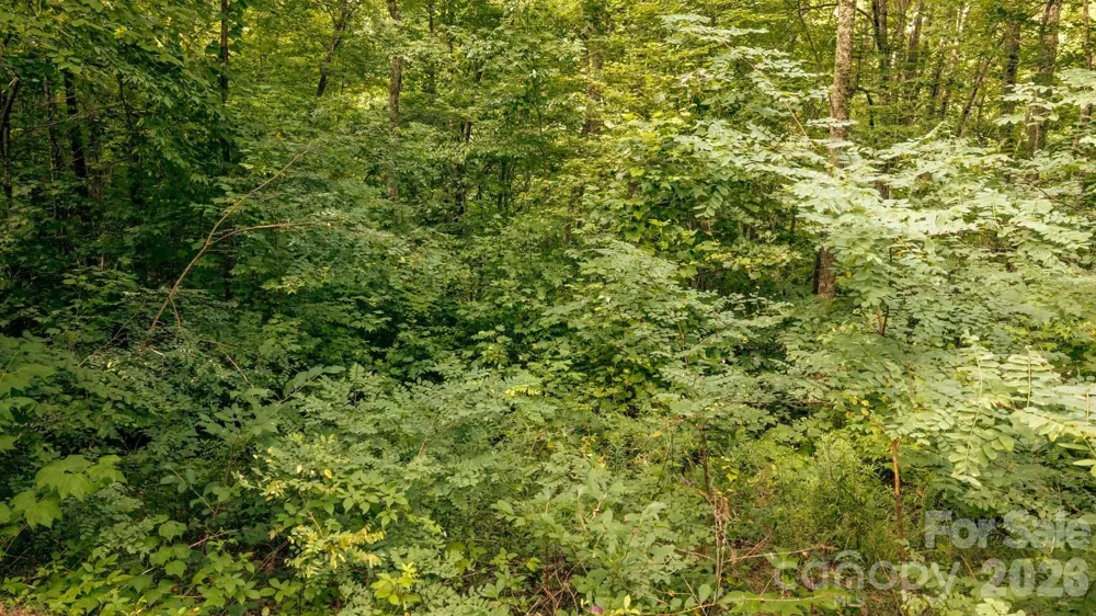 Lot36/37 Falls View Drive Bryson City, NC 28713