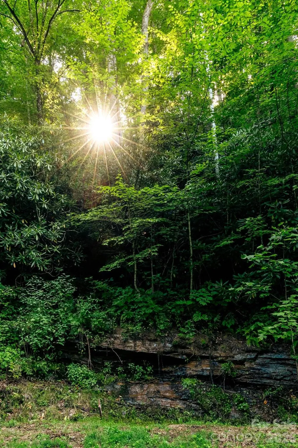 Lot36/37 Falls View Drive Bryson City, NC 28713