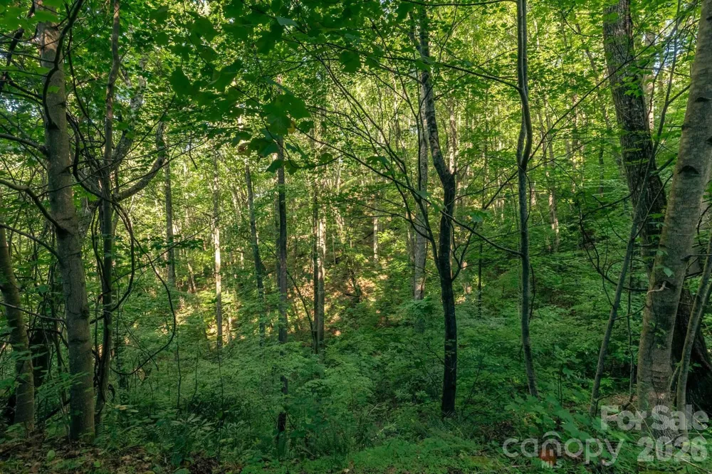 Lot36/37 Falls View Drive Bryson City, NC 28713