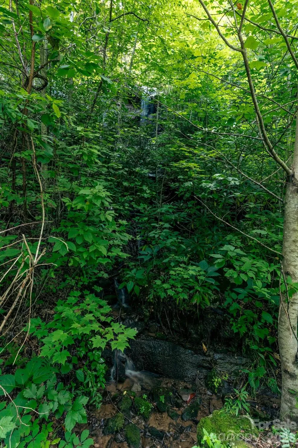 Lot36/37 Falls View Drive Bryson City, NC 28713