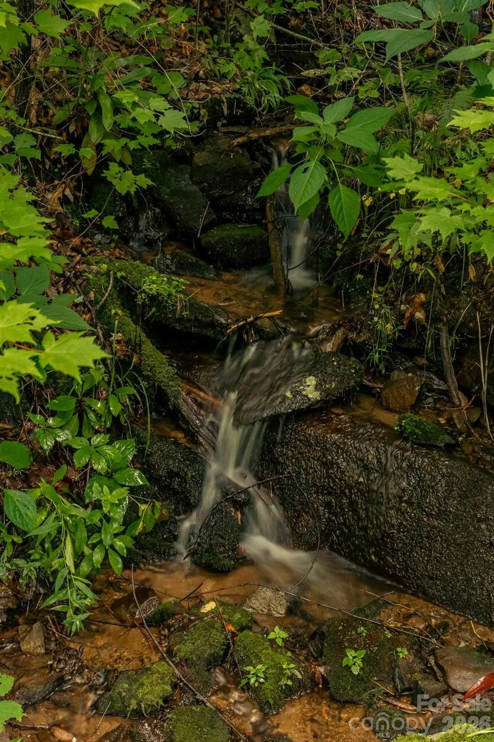 Lot36/37 Falls View Drive Bryson City, NC 28713