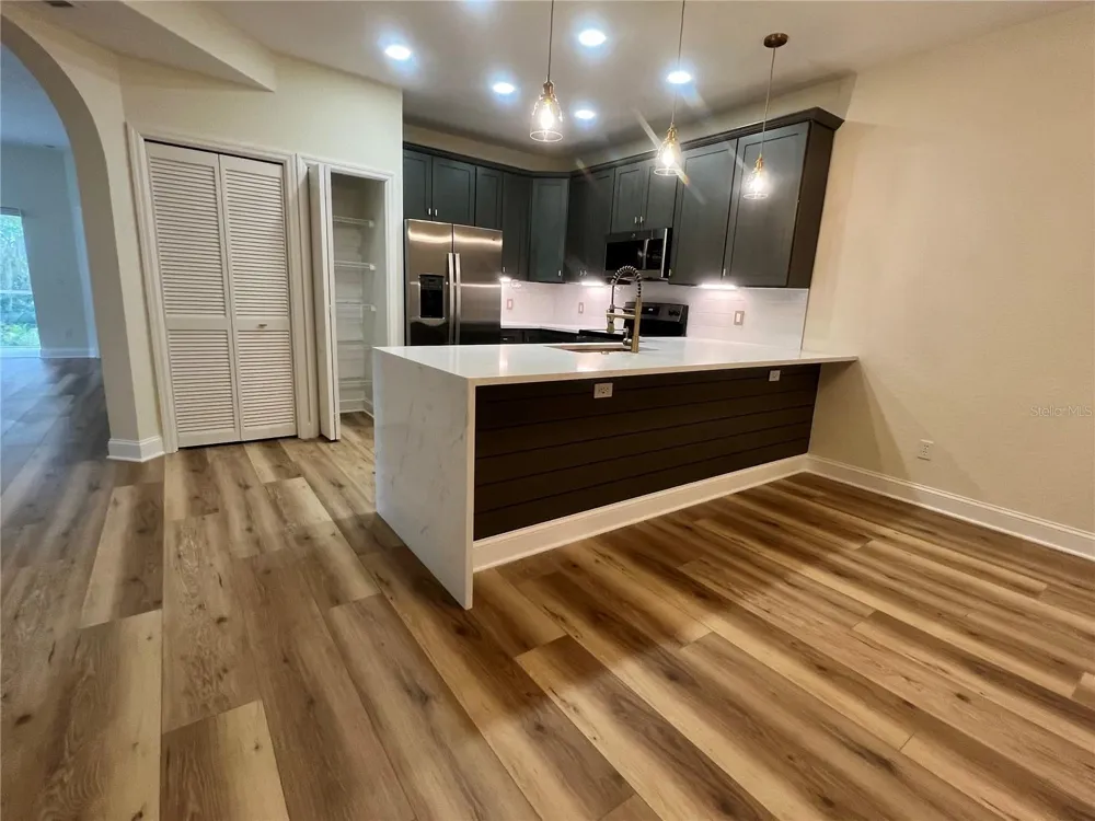 1920 HERON COVE DRIVE #1920 Lutz, FL 33549