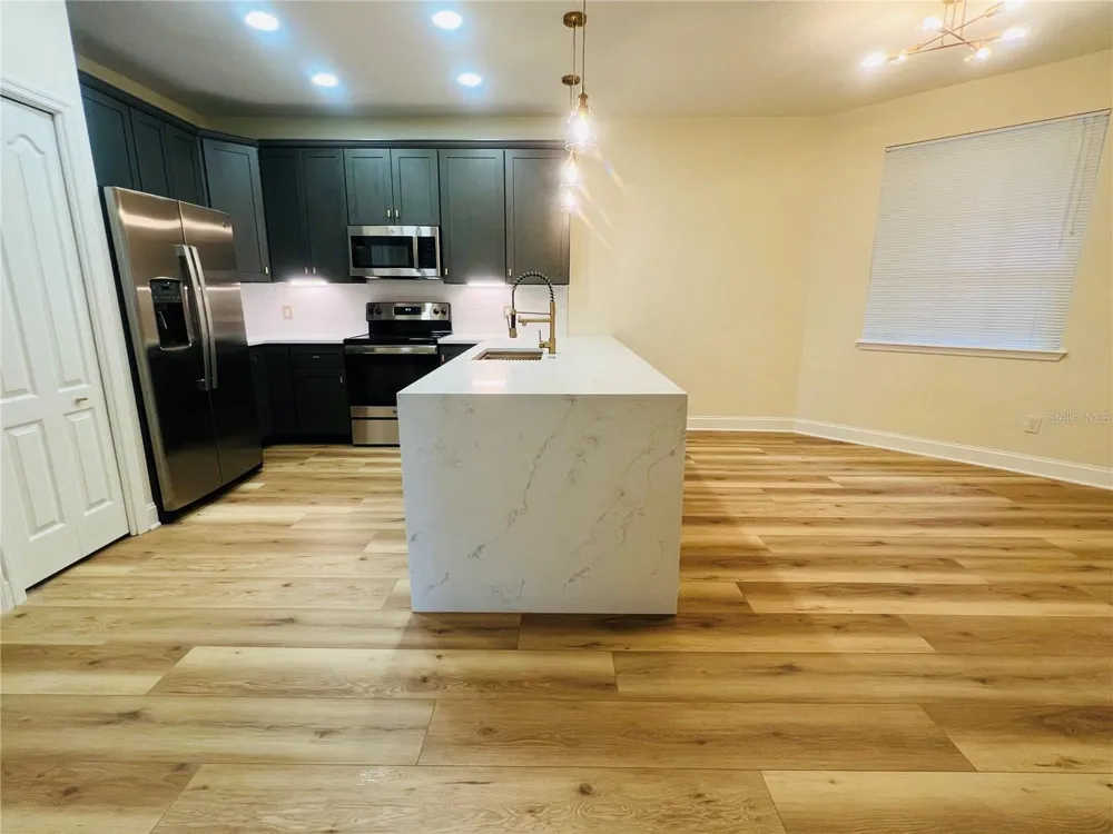 1920 HERON COVE DRIVE #1920 Lutz, FL 33549