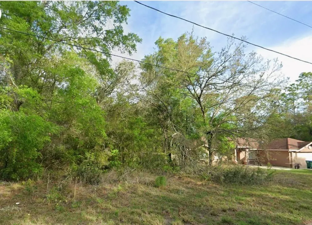 8280 GALENA AVENUE Citrus Springs, FL 34434