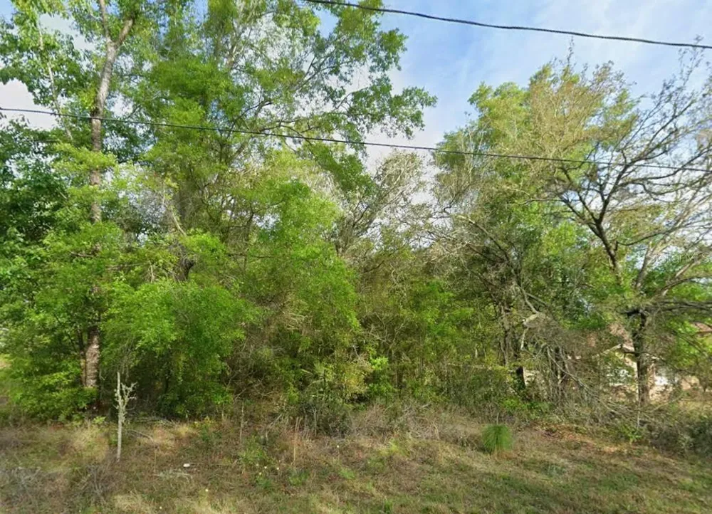 8280 GALENA AVENUE Citrus Springs, FL 34434