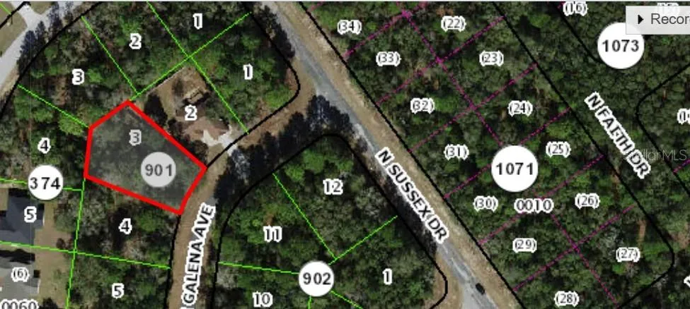 8280 GALENA AVENUE Citrus Springs, FL 34434