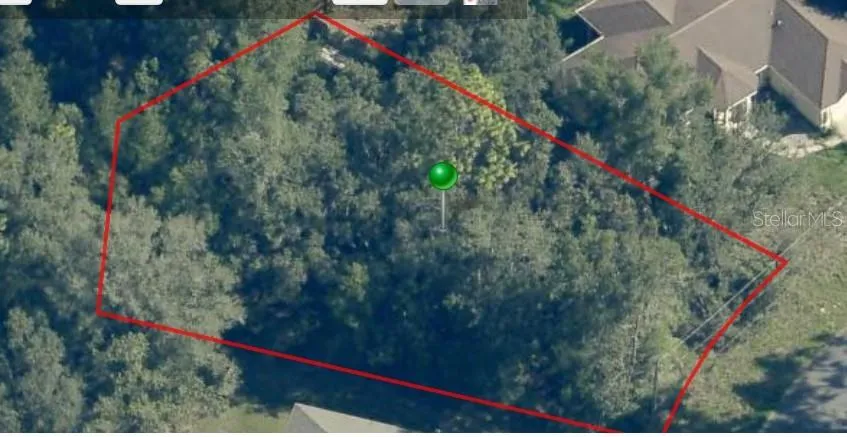 8280 GALENA AVENUE Citrus Springs, FL 34434
