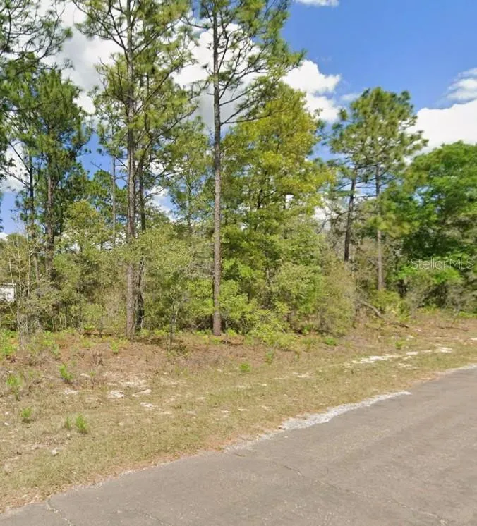 2193 W GALAXY LANE Citrus Springs, FL 34434