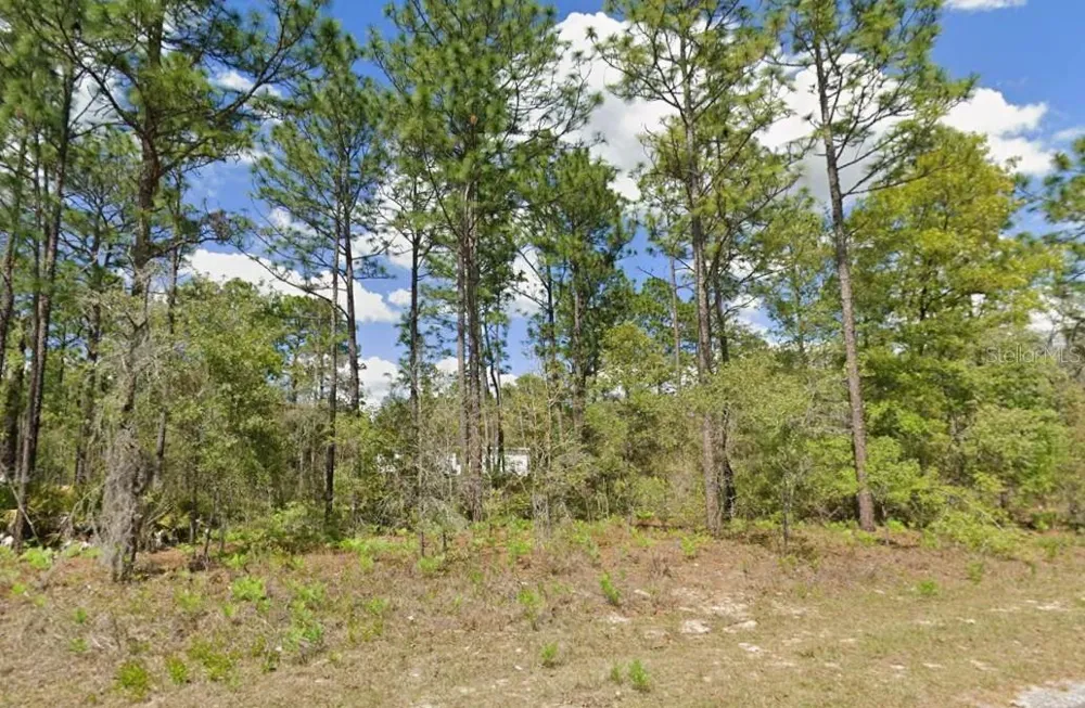 2175 W GALAXY LANE Citrus Springs, FL 34434