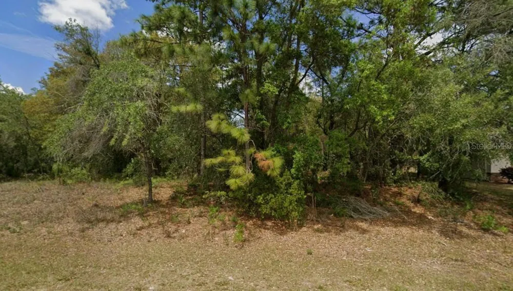 1895 W HAMPSHIRE BOULEVARD Citrus Springs, FL 34434
