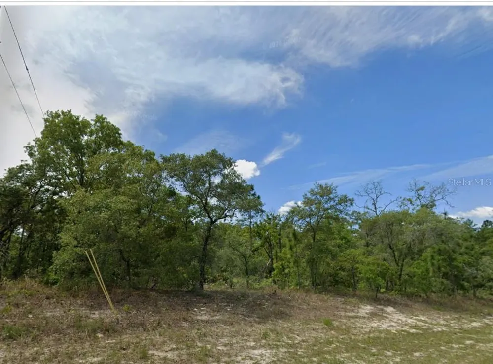 1418 W HAMPSHIRE BOULEVARD Citrus Springs, FL 34434