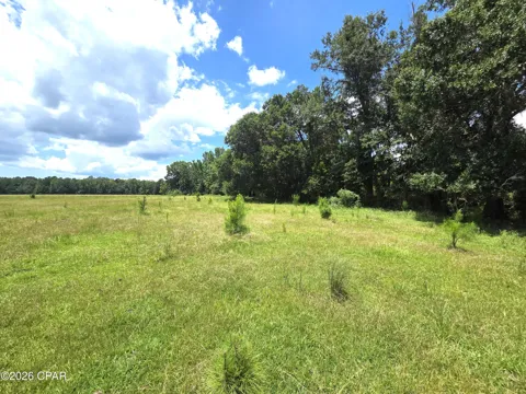 SW County Road 379