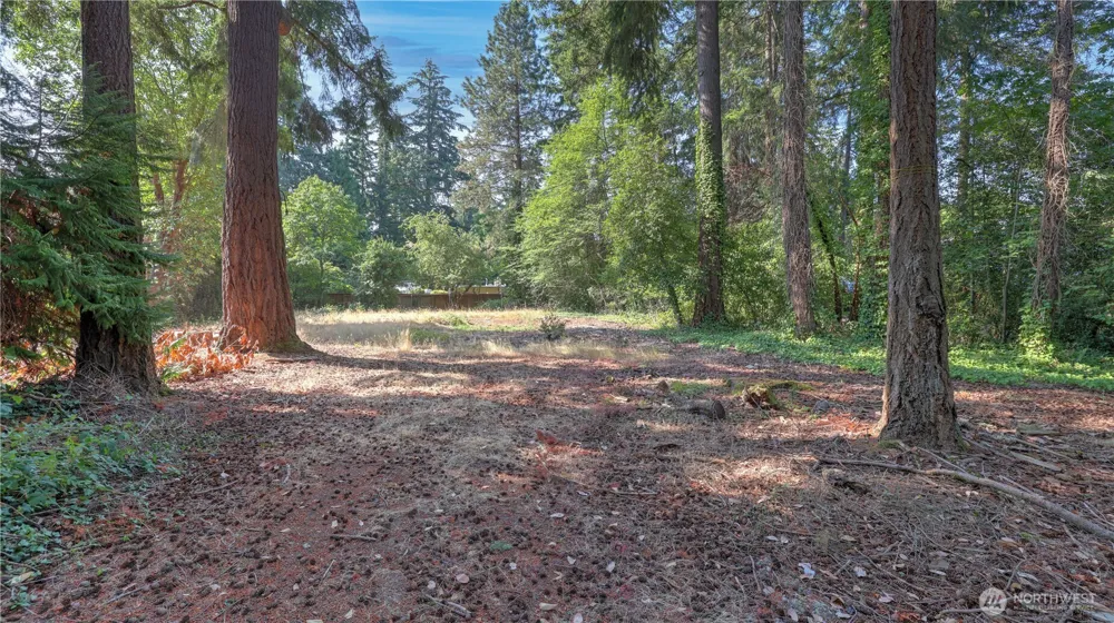 8817 SE 44th Street Mercer Island, WA 98040