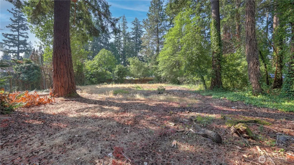8817 SE 44th Street Mercer Island, WA 98040