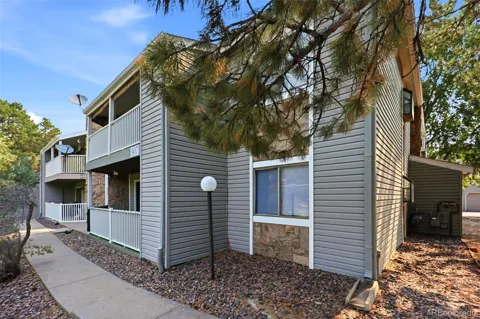 907 S Yampa Street #208