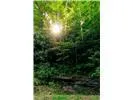 Falls View Dr Bryson City, NC 28713