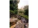 Falls View Dr Bryson City, NC 28713