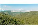 Falls View Dr Bryson City, NC 28713