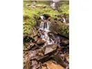 Falls View Dr Bryson City, NC 28713