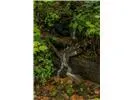 Falls View Dr Bryson City, NC 28713