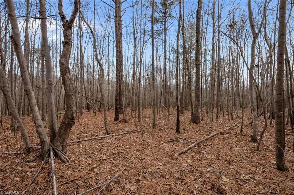 10.75 ACRES NEALS STORE ROAD Roxboro, NC 27574